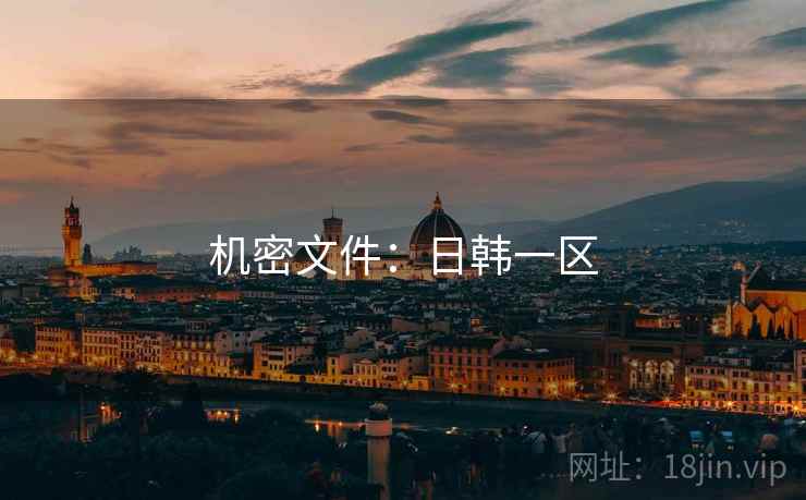 机密文件：日韩一区
