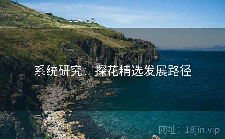 系统研究：探花精选发展路径