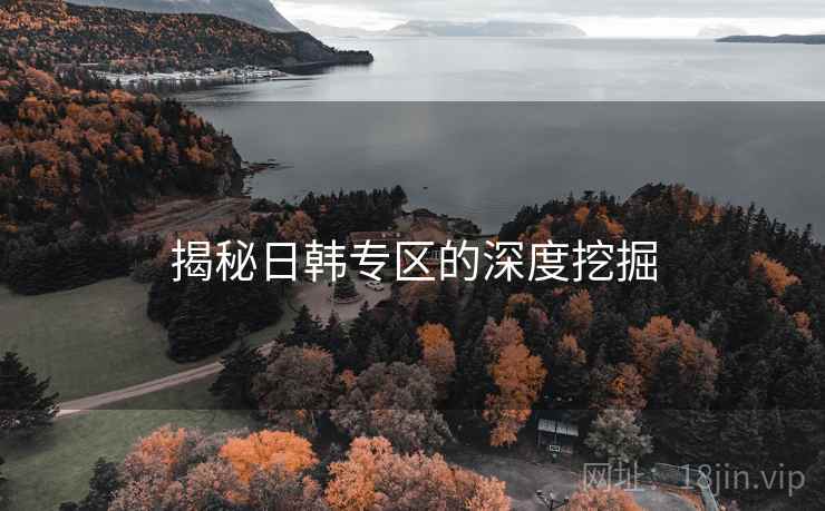 揭秘日韩专区的深度挖掘