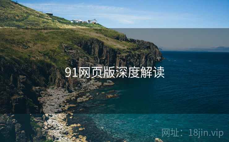 91网页版深度解读
