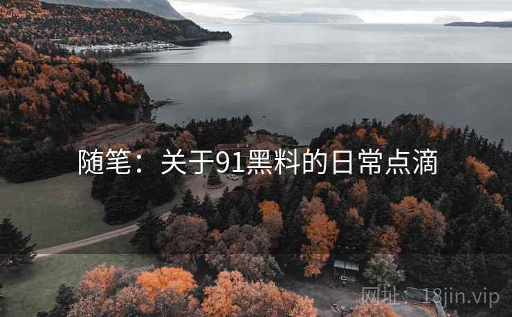 随笔：关于91黑料的日常点滴