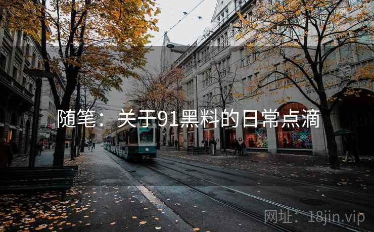 随笔：关于91黑料的日常点滴