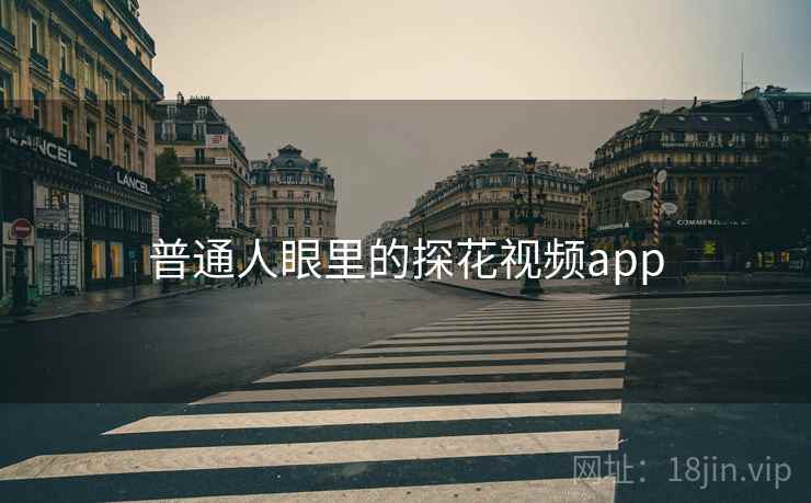 普通人眼里的探花视频app