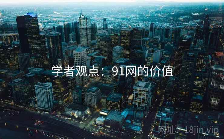 学者观点:91网的价值 学者观点:91网的价值