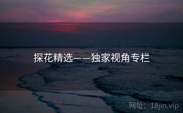探花精选——独家视角专栏