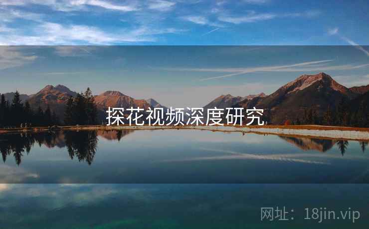 探花视频深度研究