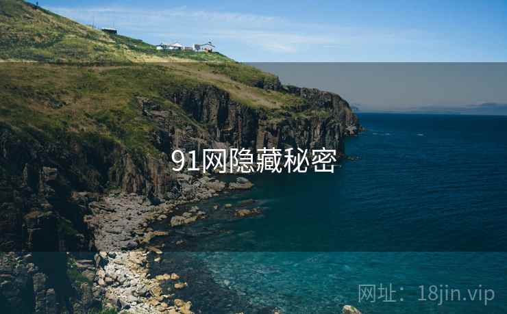 91网隐藏秘密