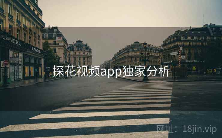 探花视频app独家分析 探花视频app独家分析
