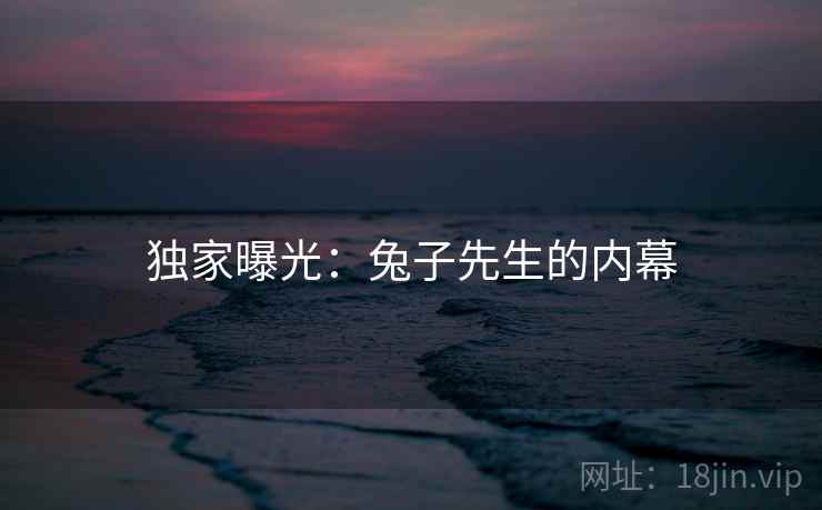 独家曝光:兔子先生的内幕 独家曝光:兔子先生的内幕