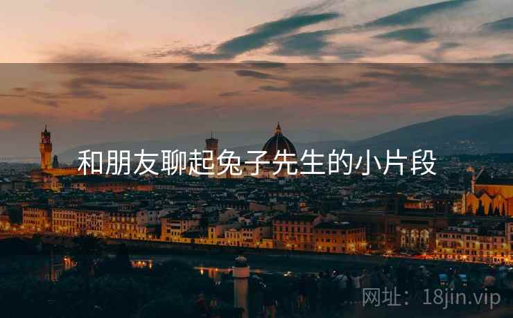 和朋友聊起兔子先生的小片段 和朋友聊起兔子先生的小片段