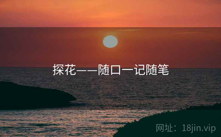 探花——随口一记随笔 探花——随口一记随笔
