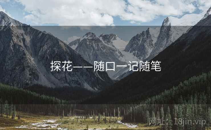 探花——随口一记随笔