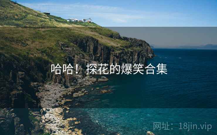 哈哈!探花的爆笑合集 哈哈!探花的爆笑合集